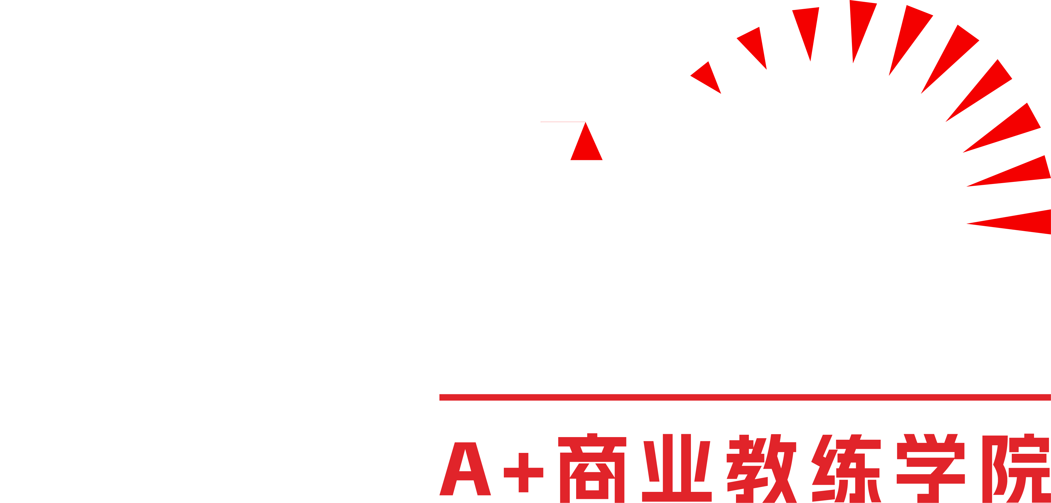 A+ABC Business Coaching Academy